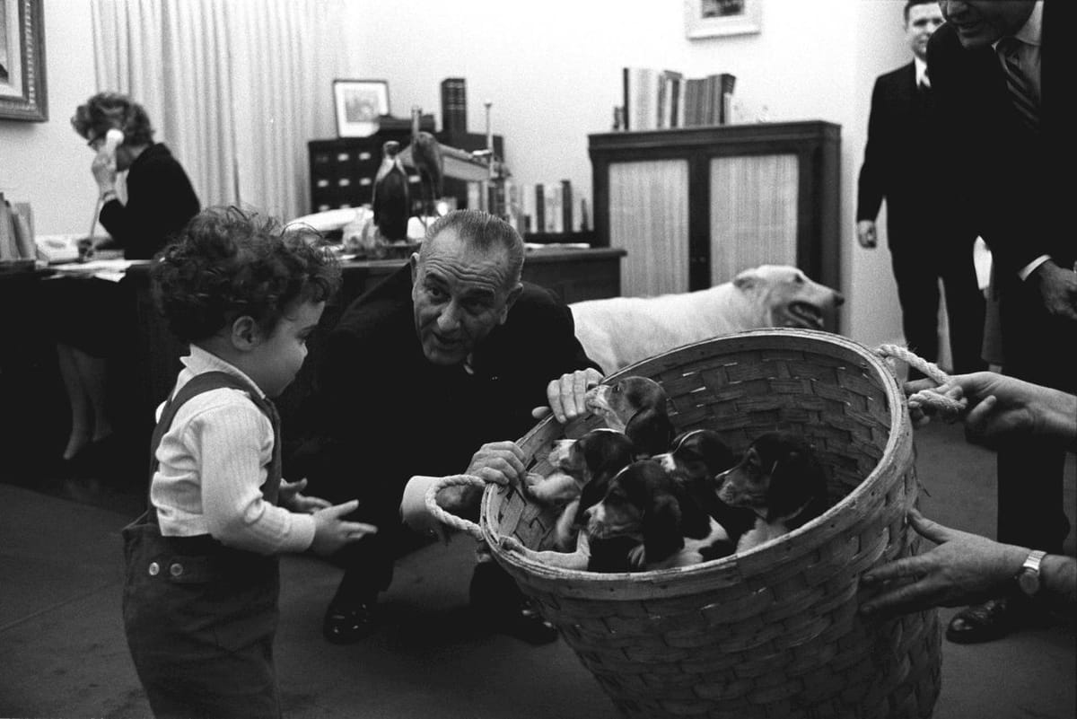 Historic Photo: LBJ and a basket of puppies.